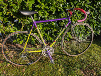 Cestno kolo Bottecchia, specialka