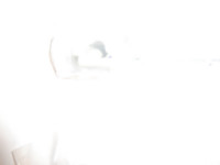 HIDRAVLIČNI AMORTIZER