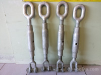 Napenjalec večji, šponar, nategovalec