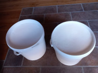 Prodam domačo svinjsko mast in ocvirke