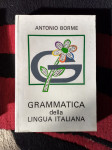 Grammatica della lingua italiana