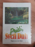 Pridi, sveti duh. Priprava na sveto birmo.