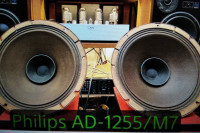 Philips AD-1255/M7, full range, 12", Alnico-Ticonal*