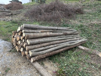 Akacijevi koli, stebri, akacija 2.8 m