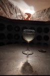 Belo vino