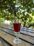 Vino iz domačih brajd