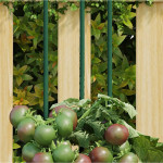 vidaXL Oporni stebri za vrtne rastline 30 kosov zeleni 115 cm jeklo