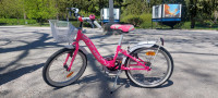 Dino bikes Smarty 20 otroško kolo, roza-belo