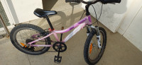 TOP dekliško kolo Douglas Daisy 20"