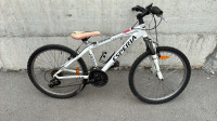 Gorsko Kolo Esperia Oregon 24 col (cca. 8-12 let, do 150 cm)