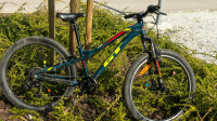 GT gorsko kolo 24 col