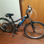Javornik 58
