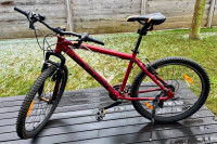 Prodam fantovsko kolo Nakamura Fusion 1.0 (26") – Servisiran