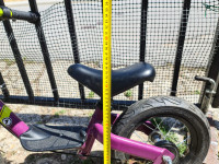 Kettler poganjavček