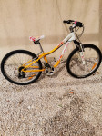 kolo 24 col specialized