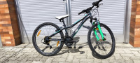Kolo 24"