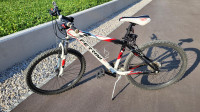 Kolo Ferrini 26"