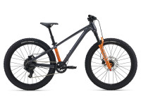 KOLO GIANT STP 24