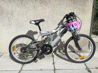 KOLO ROG FOX 20"