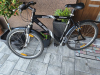 Kolo Shimano