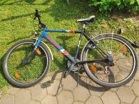 Kolo Sport Utility Bicycle CROSS