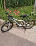 Mladinsko kolo 24''
