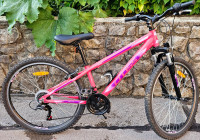 Otroško gorsko kolo Cross Daisy 26″