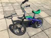 Otroško kolo 12 col