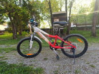 Otroško kolo 20 col