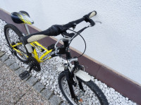 Otroško kolo 20 col