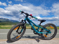 Otroško kolo Scott 20 col