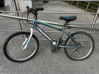 Prodamo otroško kolo Muddyfox, 20-palčna kolesa, 6 prestav.
