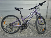 Specialized 24