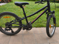 Specialized Hot rock 20