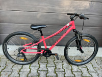 Specialized Hotrock 24