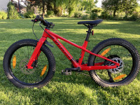 Specialized Riprock 20 col