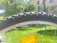 Torpado earth 26 col