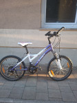Vrh 50