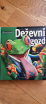 Deževni gozd