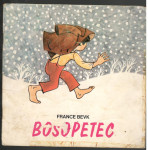 France Bevk, BOSOPETEC