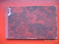 Gustav Krklec/Anton Brilli:PIONIRJI-ZIDARJI