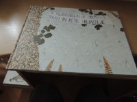 O KLJUNČKU, KI JE PREMAGAL STRAH IN REŠIL PRIJATELJE M. GAČNIK ZALOŽIL