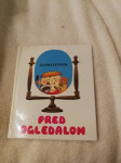 Pred ogledalom