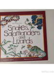 Snakes, Salamanders and Lizards - otroška angleška knjiga