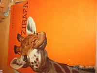 Srečni Janezek, Žive besede, Skrivnost zakopanega zaklada