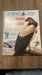 Zakaj neki so jastrebi gologlavi