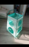 Organizator