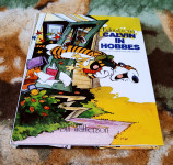 Edinstvena Calvin in Hobbes