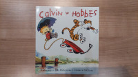 Strip Calvin in Hobbes