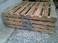 prodam palete,različnih dimenzij